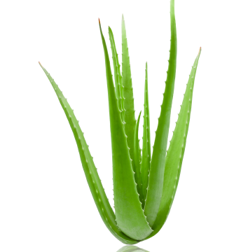 Ingredient Image
